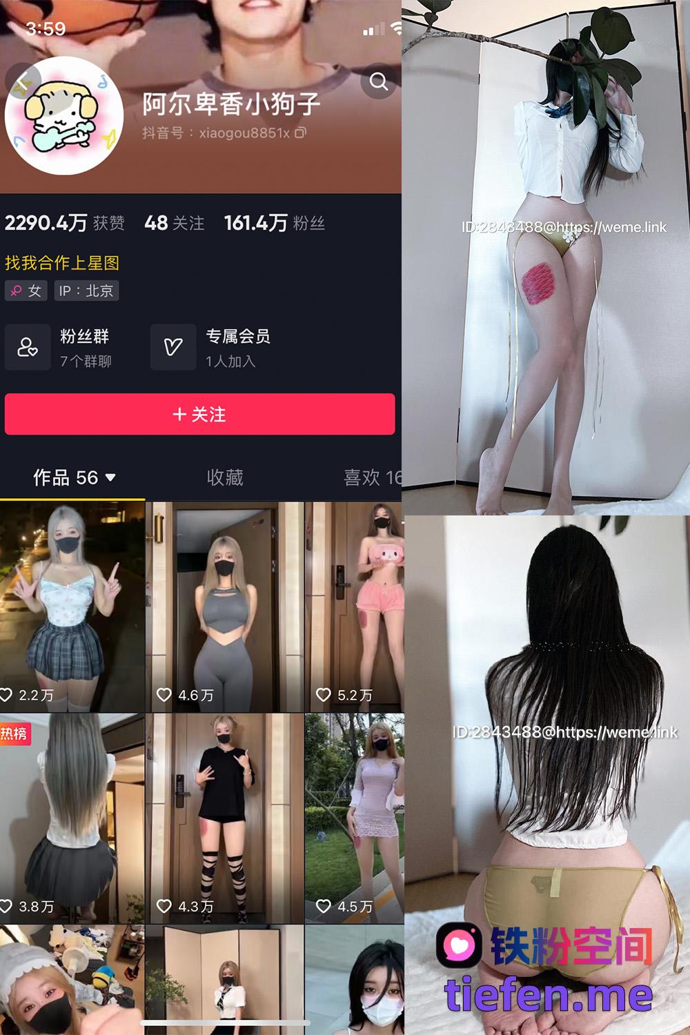 铁粉空间