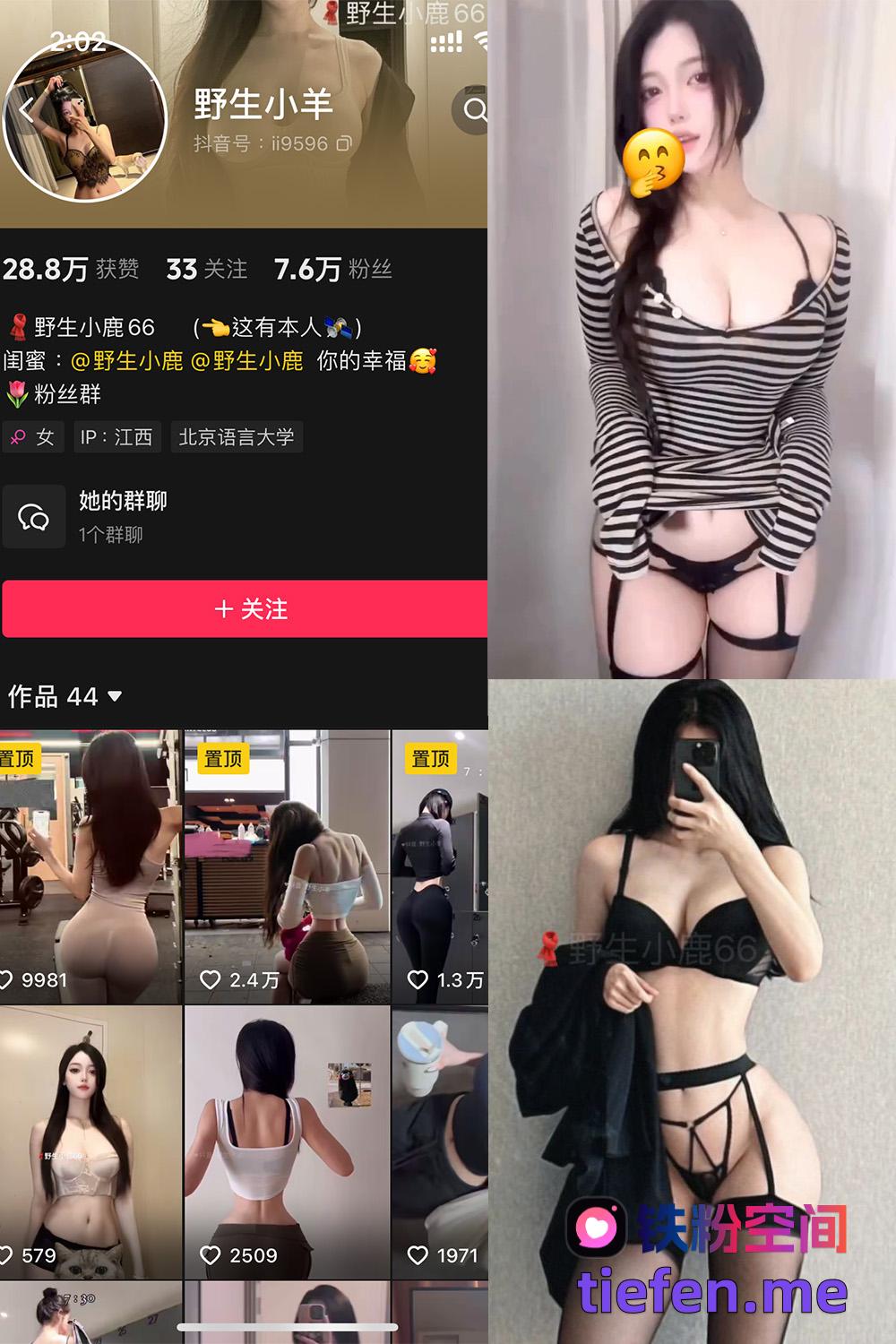 铁粉空间
